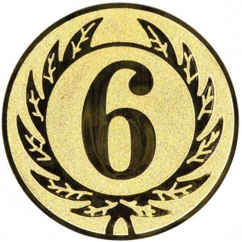 Emblém 6. místo zlato 25 mm