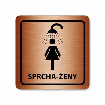 Piktogram Sprcha-ženy bronz