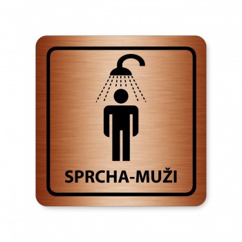 Piktogram Sprcha-muži bronz