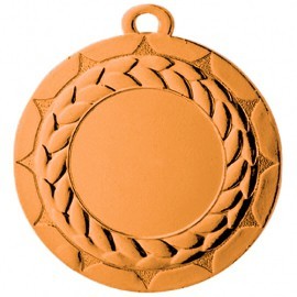 Medaile E2690 bronz