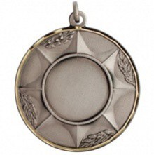 Medaile E2295 stříbro