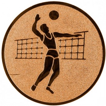 Emblém volejbal muž bronz 25 mm