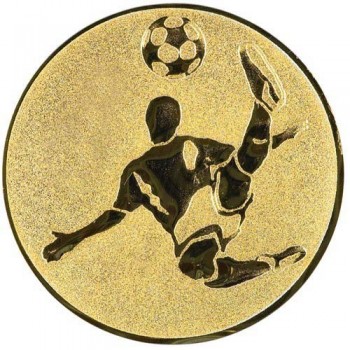 Emblém nohejbalista zlato 25 mm