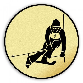 Emblém tištěný Sjezd na lyžích 25 mm