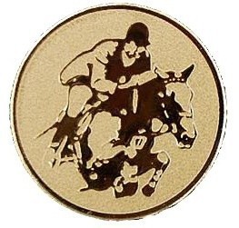 Emblém jezdectví zlato 25 mm