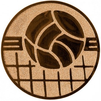 Emblém nohejbal bronz 50 mm