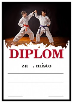 Diplom judo D44