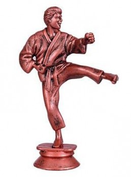 Karate muž F005 bronz