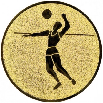 Emblém beach volejbal zlato 25 mm