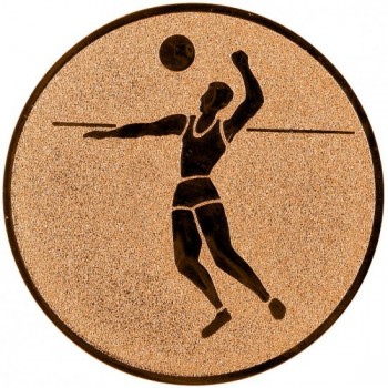 Emblém beach volejbal bronz 25 mm