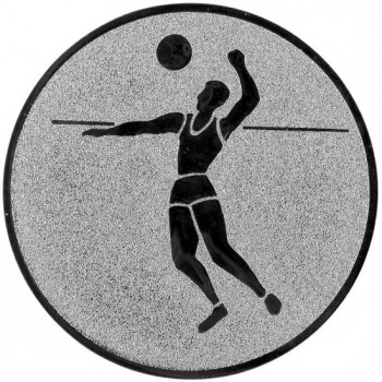 Emblém beach volejbal stříbro 50 mm