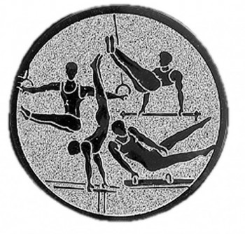 Emblém gymnastika víceboj muž stříbro 25 mm