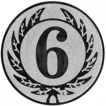 Emblém 6. místo stříbro 25 mm