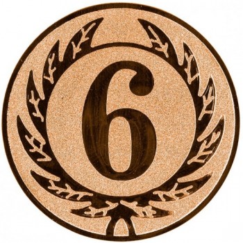 Emblém 6. místo bronz 25 mm