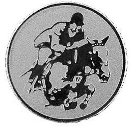 Emblém jezdectví stříbro 25 mm