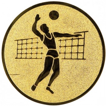 Emblém volejbal muž zlato 25 mm