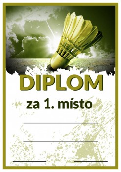 Diplom badminton D91