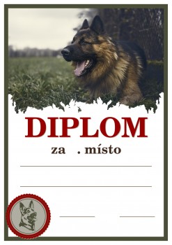 Diplom německý ovčák D162