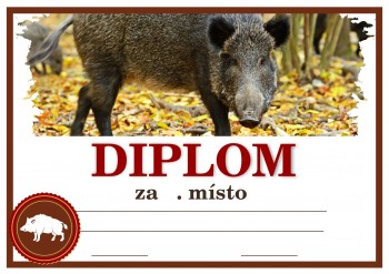 Diplom divočák D145