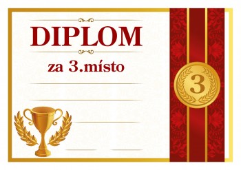 Diplom 3.místo D195