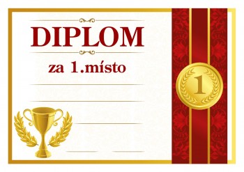 Diplom 1.místo D193